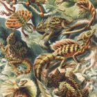 Lizards by Ernst Haeckel Gallery Print