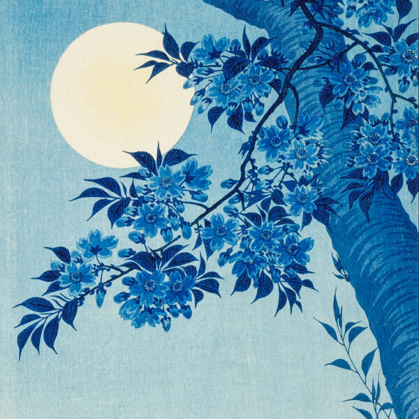 Blossoming Cherry on a Moonlit Night by Ohara Koson Premium Canvas Art Print