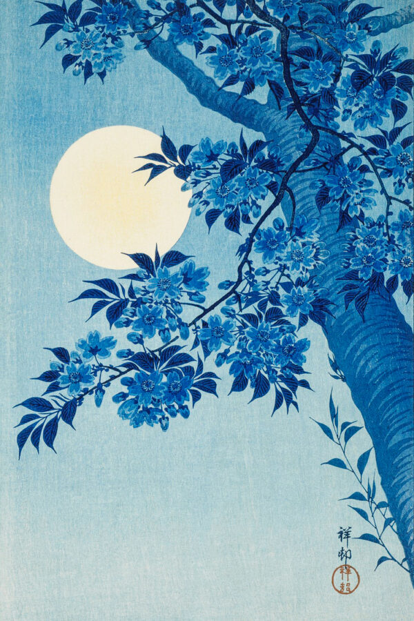 Blossoming Cherry on a Moonlit Night by Ohara Koson Kunstdruck Premium auf Leinwand