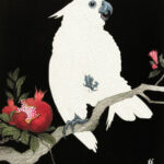 Cockatoo and pomegranate by Ohara Koson Premium Canvas Art Print