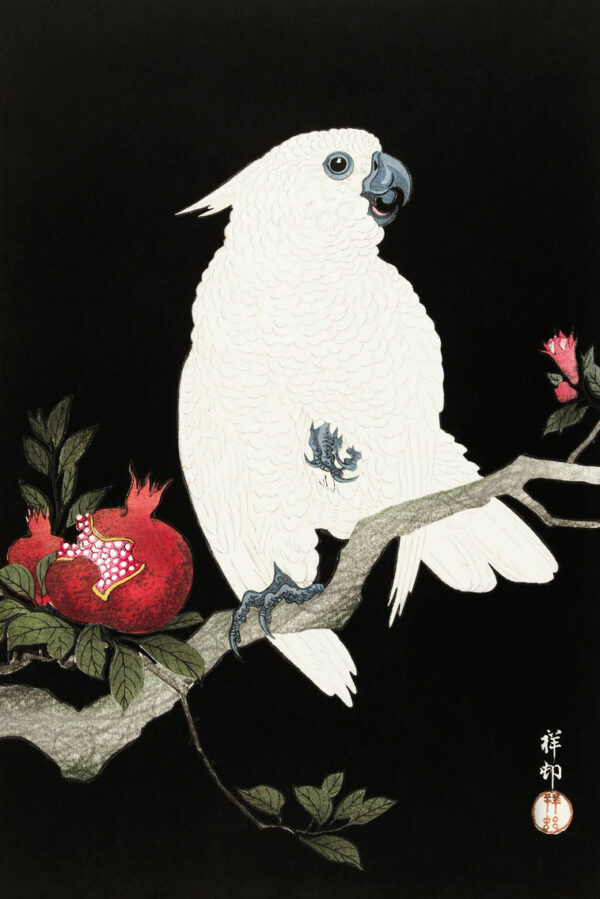 Cockatoo and pomegranate by Ohara Koson Premium Canvas Art Print