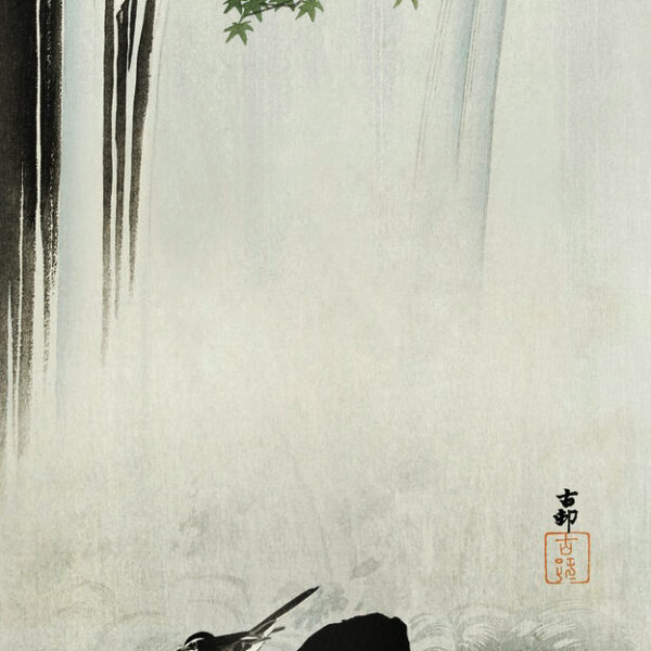 Japanese wagtail at waterfall by Ohara Koson Kunstdruck Premium auf Leinwand