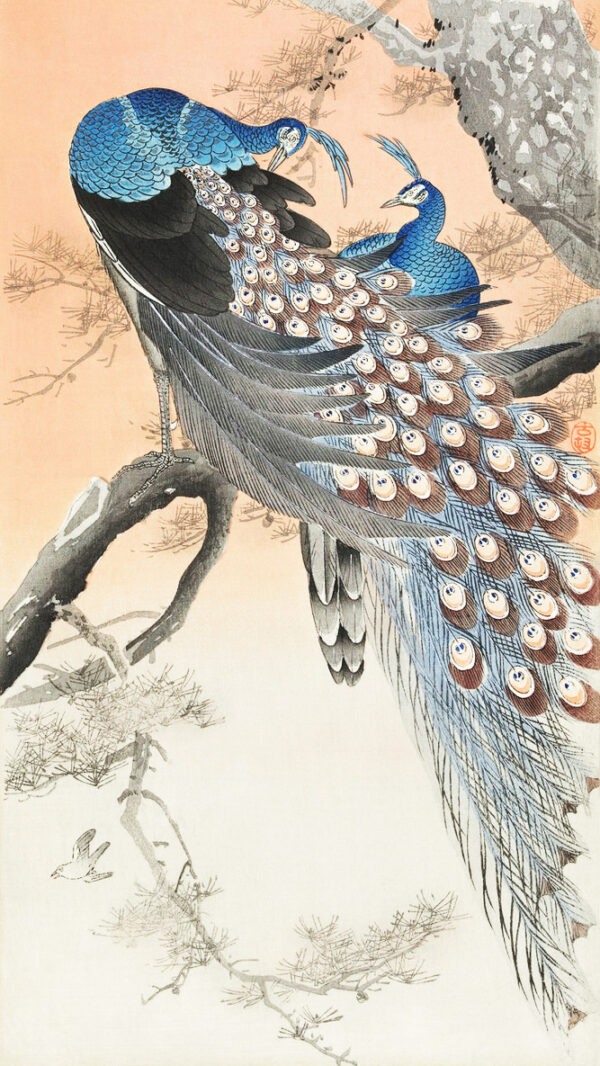 Two peacocks on tree branch by Ohara Koson art print premium on canvas