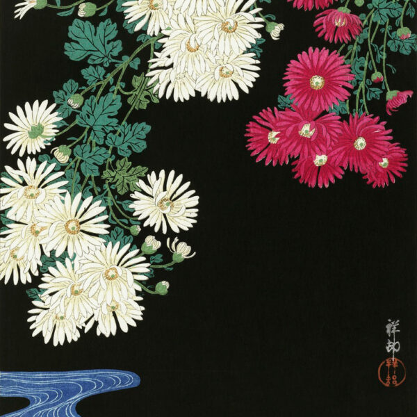 Chrysanthemums by Ohara Koson Premium Canvas Art Print