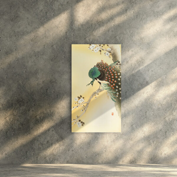 Peacock on a cherry blossom tree by Ohara Koson Premium Canvas Art Print